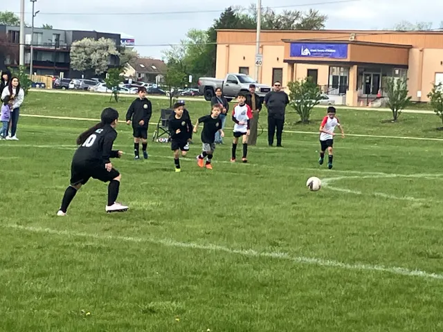 Youth Sports